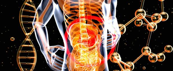 5 Foods Linked to Higher Inflammation Levels