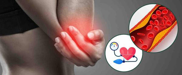 7 Ways Inflammation Alters Vascular Health & Pressure
