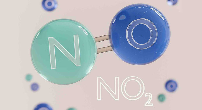 Dr. Ignarro's 7 Post - Discovery Insights On Nitric Oxide