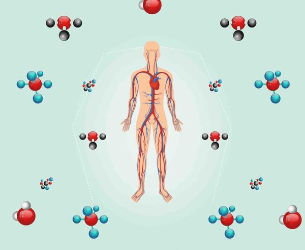 7 Tips To Balance Nitric Oxide For Healthy Blood Pressure