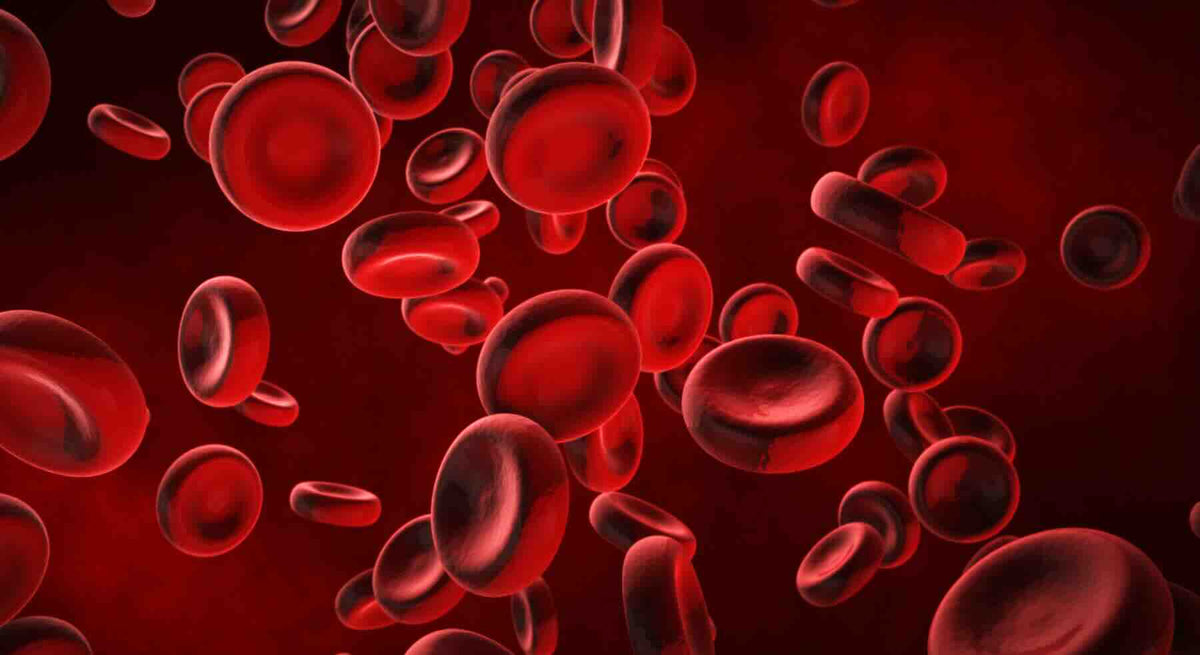 6 Common Signs of Low Cellular Energy You Shouldn’t Ignore – Natures ...