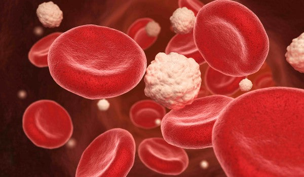 6 ways high blood sugar destroys your health