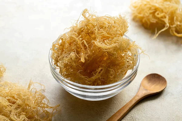 10 Benefits Of Consuming Sea Moss