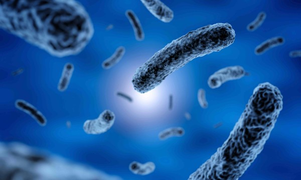 7 Disgusting Things Living Inside You