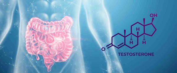 7 Gut Problems That Lower Testosterone