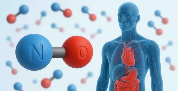 4 Key Habits To Help Your Body Produce More Nitric Oxide