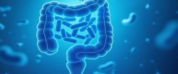 8 Ways Your Gut Microbiome Influences Nitric Oxide Production