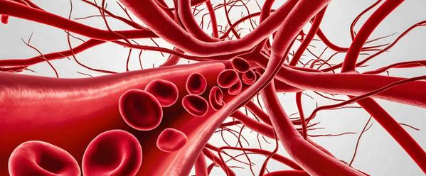 10 Foods To Consume To Help Lower Hypertension