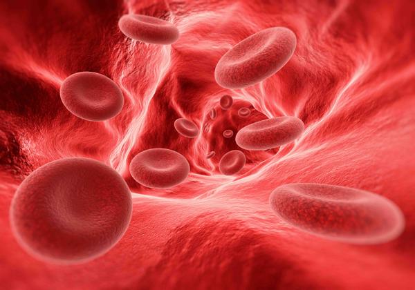 The Two Roads to Nitric Oxide: How Beet Powder and Amino Acids Unlock Better Blood Flow