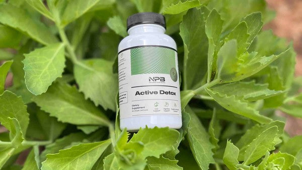 Improve Your Gut Health In 7-Steps