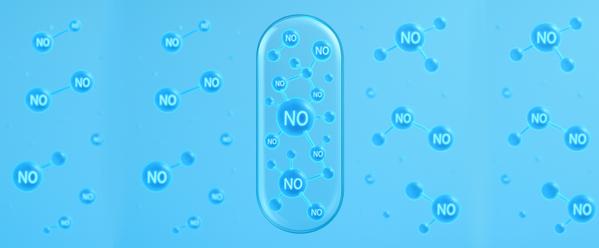 6 Systems That Break Down Without Nitric Oxide Support