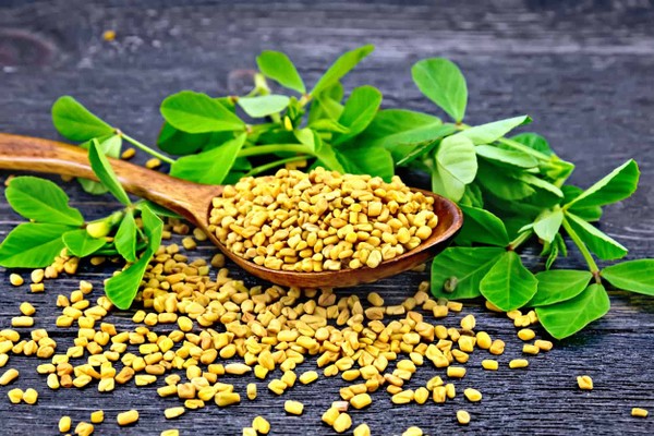 BENEFITS OF FENUGREEK SEED