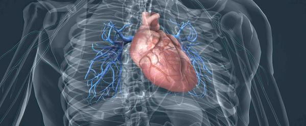 7 Blood Pressure Patterns Linked To Cardiovascular Risk