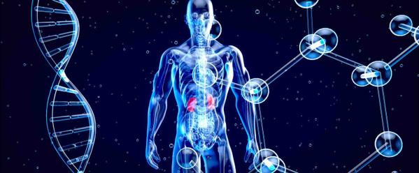 7 Ways To Support A Healthy Metabolic System