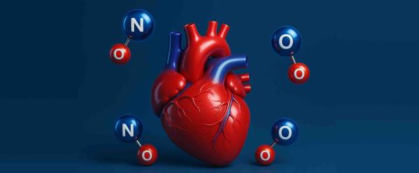 7 Factors That Drain Your Nitric Oxide Levels