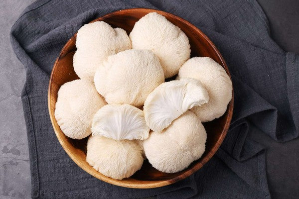 7 Reasons Why You Should Try Lions Mane