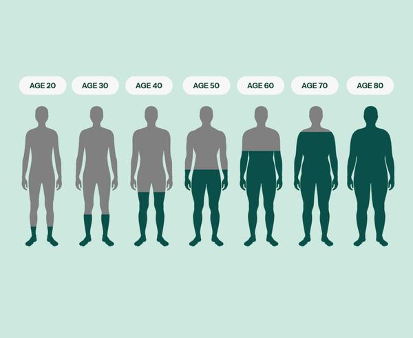 7 Signs Of Increased Estrogen Levels In Males