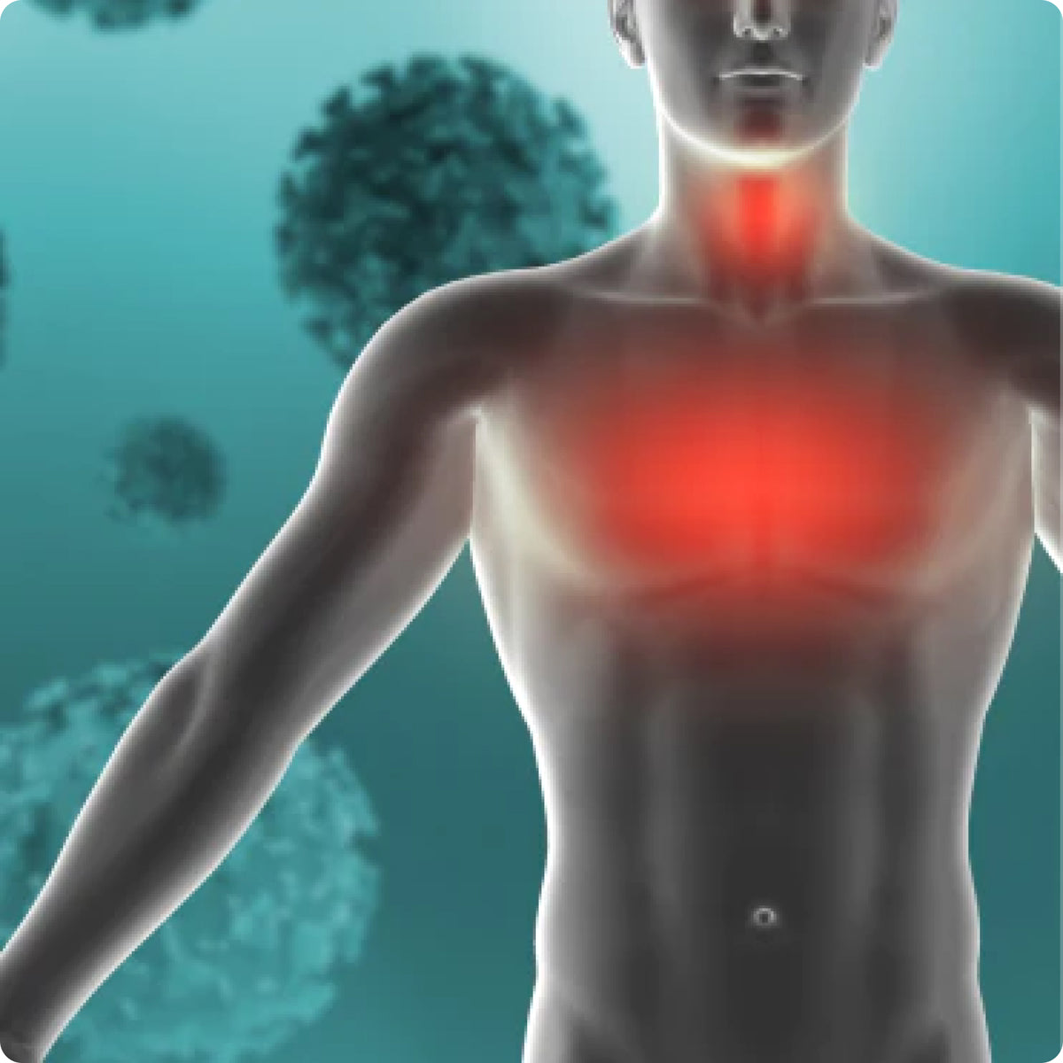 Anti-Inflammatory Effects
