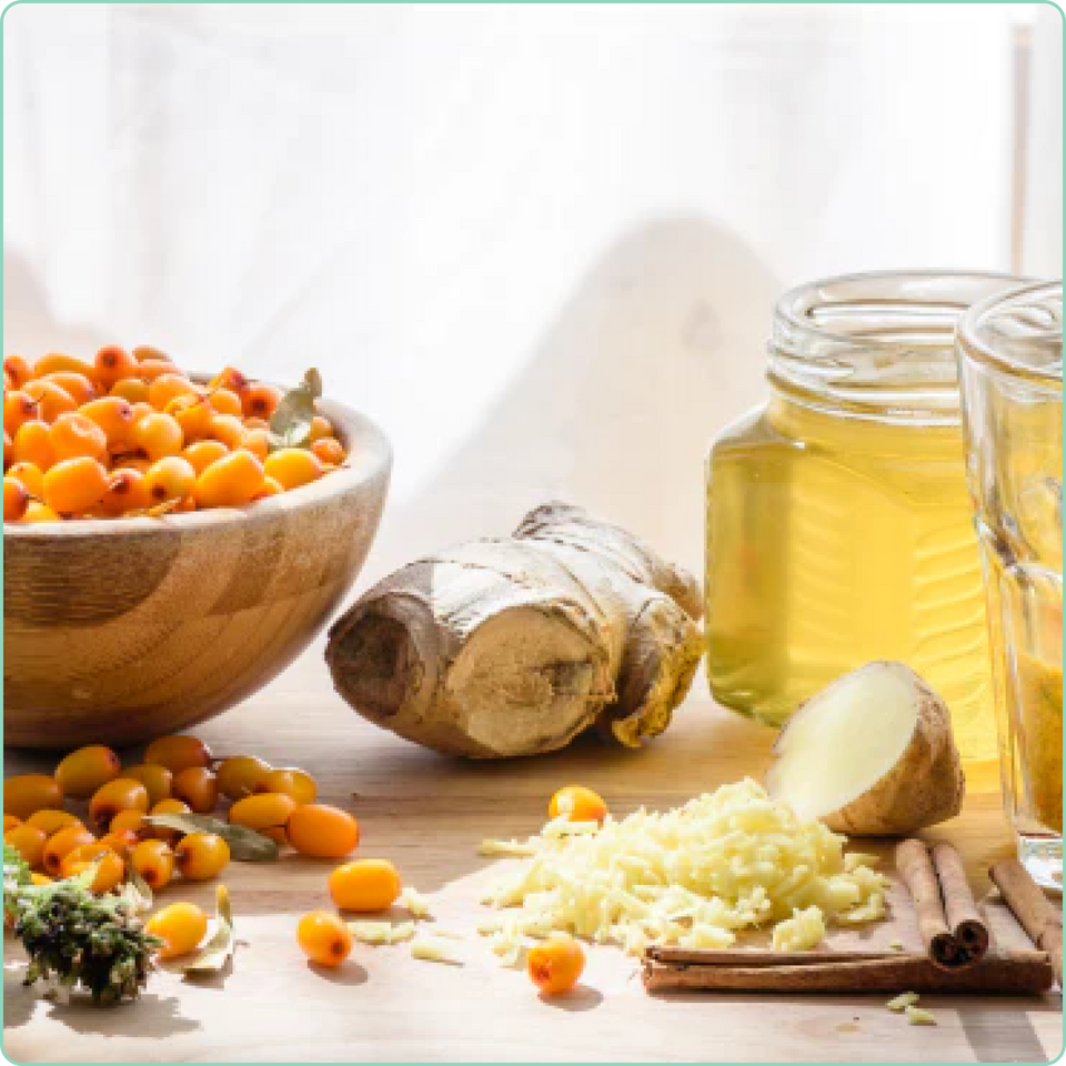 Immune System Support
