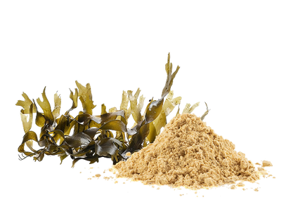 Organic Sea <br>Moss Powder