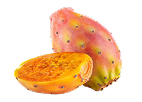 Prickly Pear